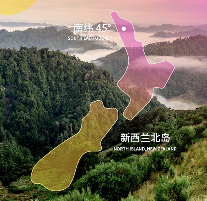 秋冬抓紧安排上这一杯比黄金还珍贵！一泡香甜润还对肠胃超友好～